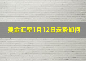 美金汇率1月12日走势如何