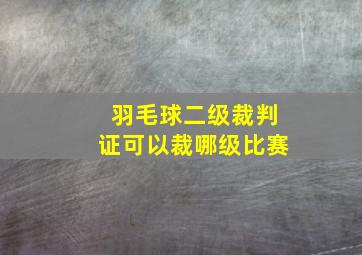 羽毛球二级裁判证可以裁哪级比赛