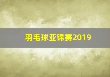 羽毛球亚锦赛2019