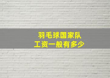 羽毛球国家队工资一般有多少