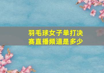 羽毛球女子单打决赛直播频道是多少