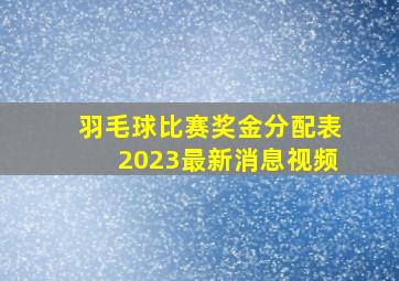 羽毛球比赛奖金分配表2023最新消息视频