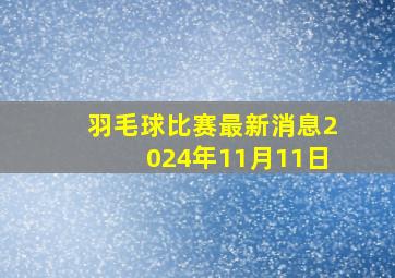 羽毛球比赛最新消息2024年11月11日