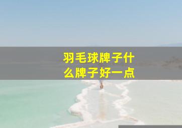 羽毛球牌子什么牌子好一点