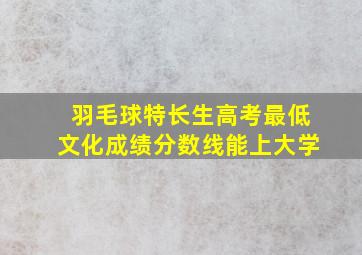 羽毛球特长生高考最低文化成绩分数线能上大学