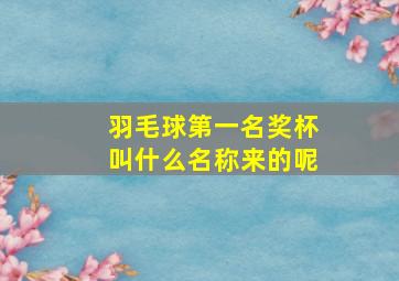 羽毛球第一名奖杯叫什么名称来的呢