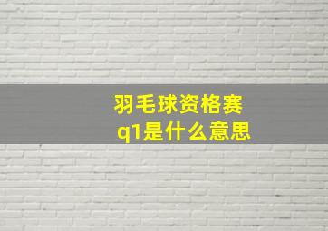 羽毛球资格赛q1是什么意思