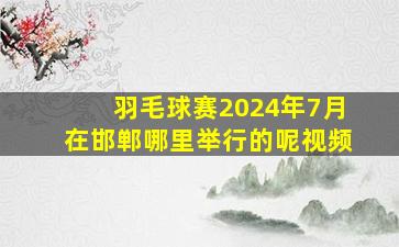 羽毛球赛2024年7月在邯郸哪里举行的呢视频