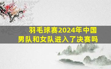 羽毛球赛2024年中国男队和女队进入了决赛吗