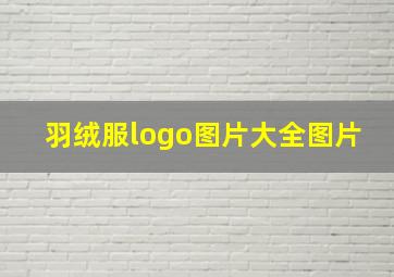 羽绒服logo图片大全图片