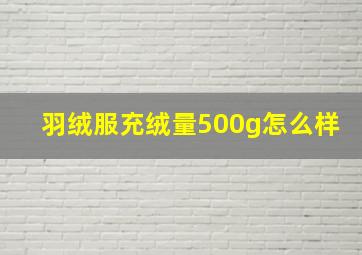 羽绒服充绒量500g怎么样