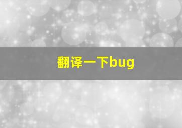 翻译一下bug