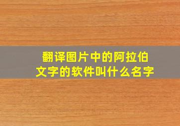 翻译图片中的阿拉伯文字的软件叫什么名字