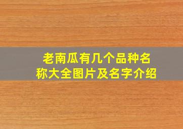 老南瓜有几个品种名称大全图片及名字介绍