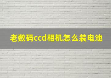 老数码ccd相机怎么装电池