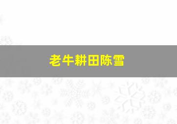 老牛耕田陈雪