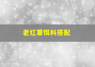 老红薯饵料搭配