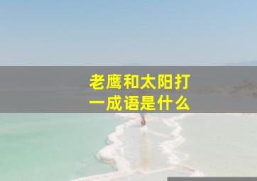 老鹰和太阳打一成语是什么