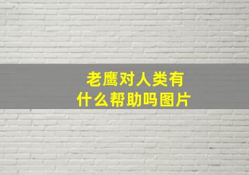 老鹰对人类有什么帮助吗图片