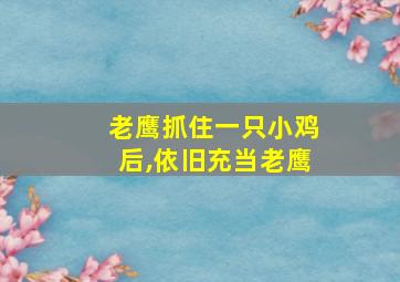 老鹰抓住一只小鸡后,依旧充当老鹰