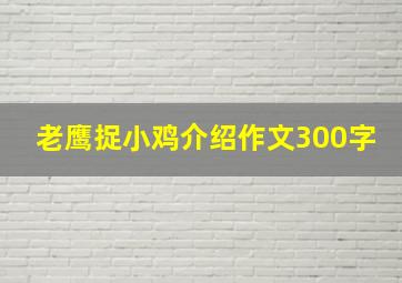 老鹰捉小鸡介绍作文300字