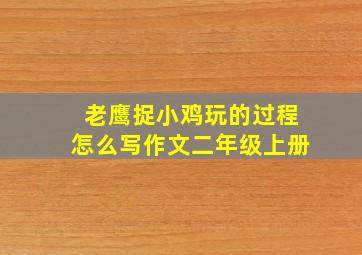 老鹰捉小鸡玩的过程怎么写作文二年级上册