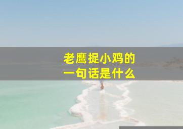 老鹰捉小鸡的一句话是什么