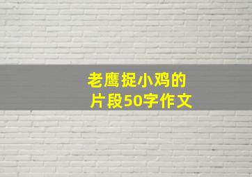 老鹰捉小鸡的片段50字作文