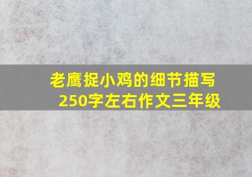 老鹰捉小鸡的细节描写250字左右作文三年级