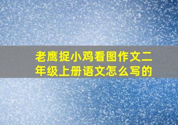 老鹰捉小鸡看图作文二年级上册语文怎么写的