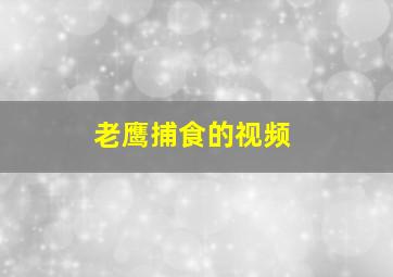 老鹰捕食的视频