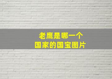 老鹰是哪一个国家的国宝图片