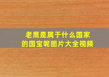 老鹰是属于什么国家的国宝呢图片大全视频