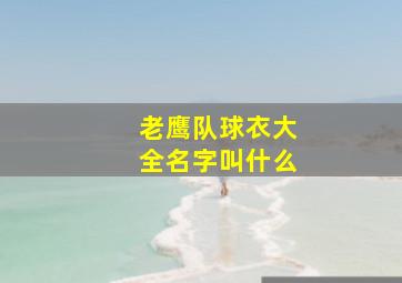 老鹰队球衣大全名字叫什么