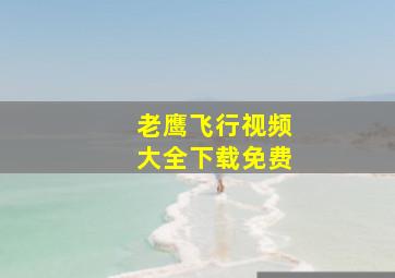 老鹰飞行视频大全下载免费