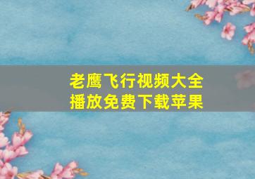 老鹰飞行视频大全播放免费下载苹果