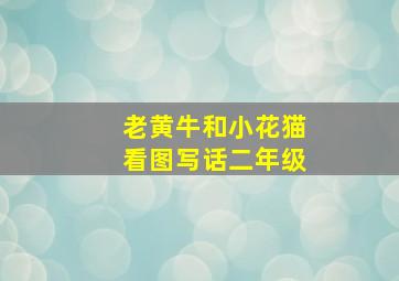 老黄牛和小花猫看图写话二年级