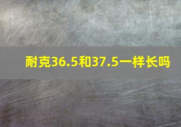 耐克36.5和37.5一样长吗