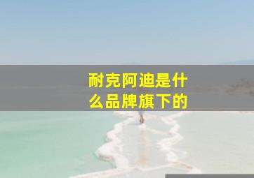 耐克阿迪是什么品牌旗下的