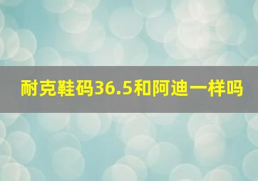 耐克鞋码36.5和阿迪一样吗