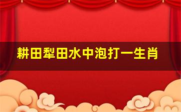 耕田犁田水中泡打一生肖