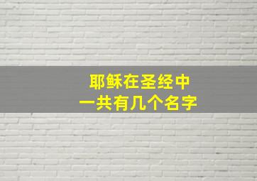 耶稣在圣经中一共有几个名字