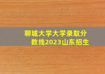 聊城大学大学录取分数线2023山东招生