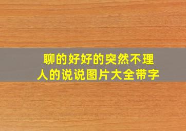 聊的好好的突然不理人的说说图片大全带字