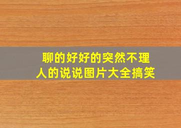 聊的好好的突然不理人的说说图片大全搞笑