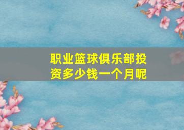 职业篮球俱乐部投资多少钱一个月呢