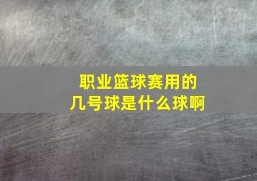 职业篮球赛用的几号球是什么球啊