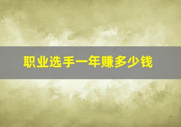 职业选手一年赚多少钱