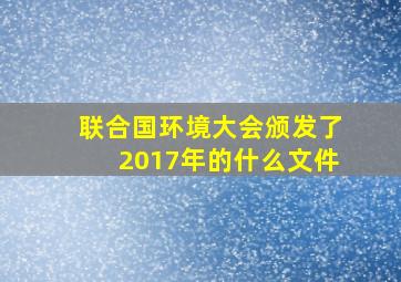 联合国环境大会颁发了2017年的什么文件