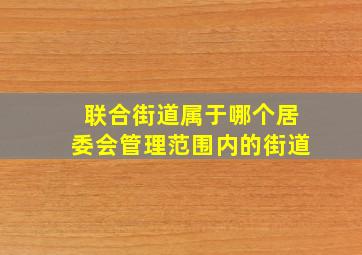 联合街道属于哪个居委会管理范围内的街道